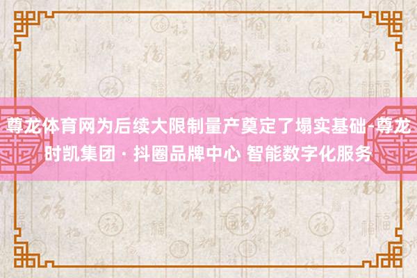 尊龙体育网为后续大限制量产奠定了塌实基础-尊龙时凯集团 · 抖圈品牌中心 智能数字化服务
