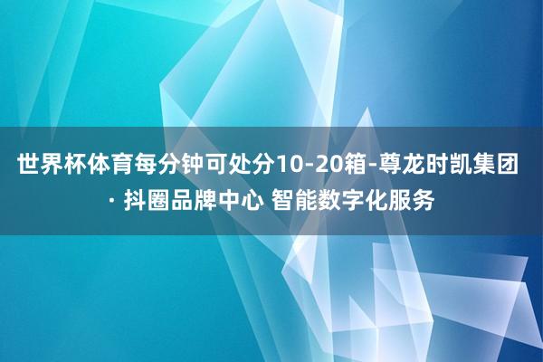 世界杯体育每分钟可处分10-20箱-尊龙时凯集团 · 抖圈品牌中心 智能数字化服务