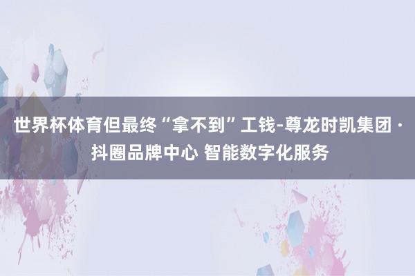 世界杯体育但最终“拿不到”工钱-尊龙时凯集团 · 抖圈品牌中心 智能数字化服务