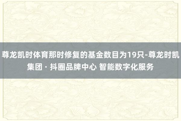尊龙凯时体育那时修复的基金数目为19只-尊龙时凯集团 · 抖圈品牌中心 智能数字化服务