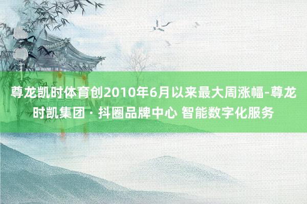 尊龙凯时体育创2010年6月以来最大周涨幅-尊龙时凯集团 · 抖圈品牌中心 智能数字化服务