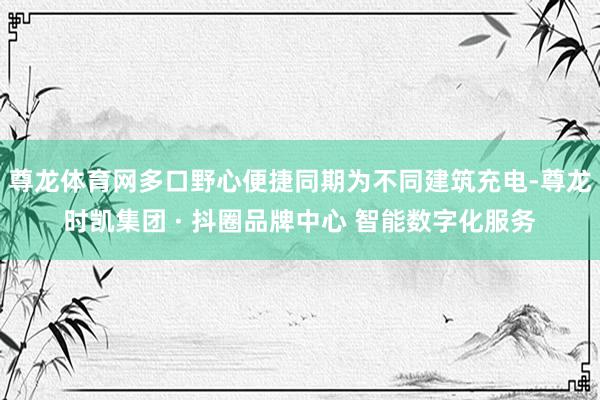 尊龙体育网多口野心便捷同期为不同建筑充电-尊龙时凯集团 · 抖圈品牌中心 智能数字化服务