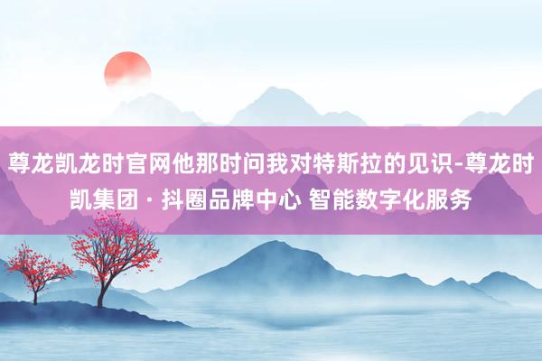 尊龙凯龙时官网他那时问我对特斯拉的见识-尊龙时凯集团 · 抖圈品牌中心 智能数字化服务