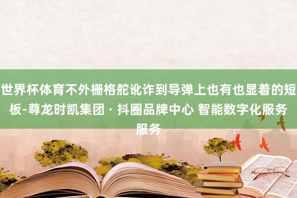 世界杯体育不外栅格舵讹诈到导弹上也有也显着的短板-尊龙时凯集团 · 抖圈品牌中心 智能数字化服务