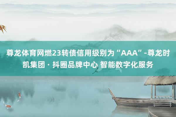 尊龙体育网燃23转债信用级别为“AAA”-尊龙时凯集团 · 抖圈品牌中心 智能数字化服务