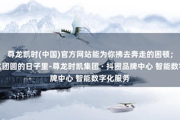 尊龙凯时(中国)官方网站能为你拂去奔走的困顿；愿你在这团圆的日子里-尊龙时凯集团 · 抖圈品牌中心 智能数字化服务