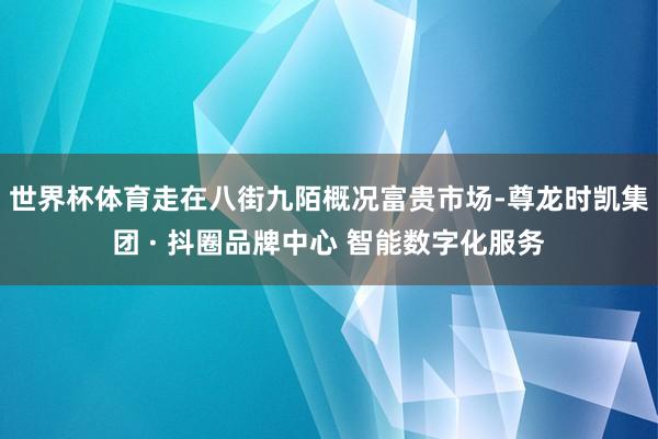 世界杯体育走在八街九陌概况富贵市场-尊龙时凯集团 · 抖圈品牌中心 智能数字化服务