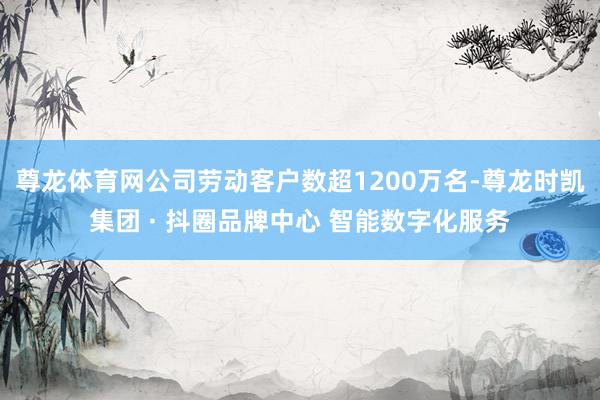 尊龙体育网公司劳动客户数超1200万名-尊龙时凯集团 · 抖圈品牌中心 智能数字化服务