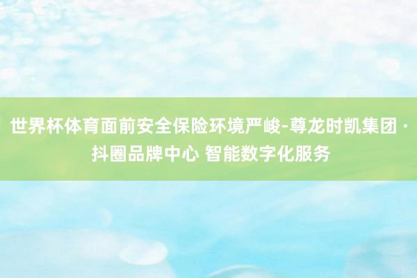 世界杯体育面前安全保险环境严峻-尊龙时凯集团 · 抖圈品牌中心 智能数字化服务