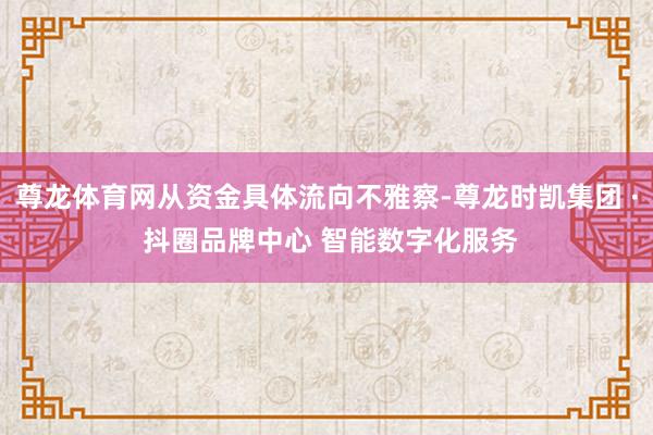 尊龙体育网从资金具体流向不雅察-尊龙时凯集团 · 抖圈品牌中心 智能数字化服务