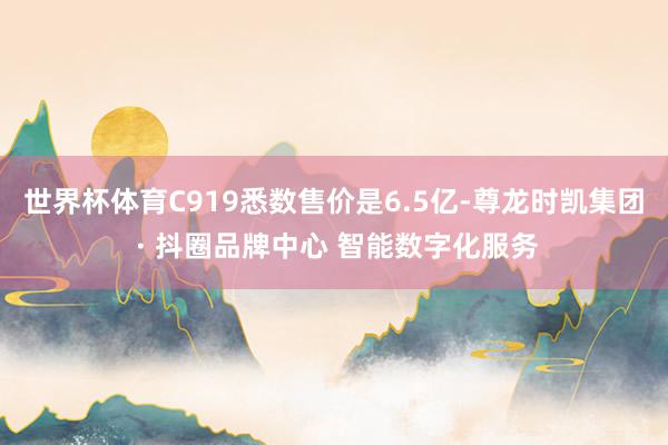 世界杯体育C919悉数售价是6.5亿-尊龙时凯集团 · 抖圈品牌中心 智能数字化服务