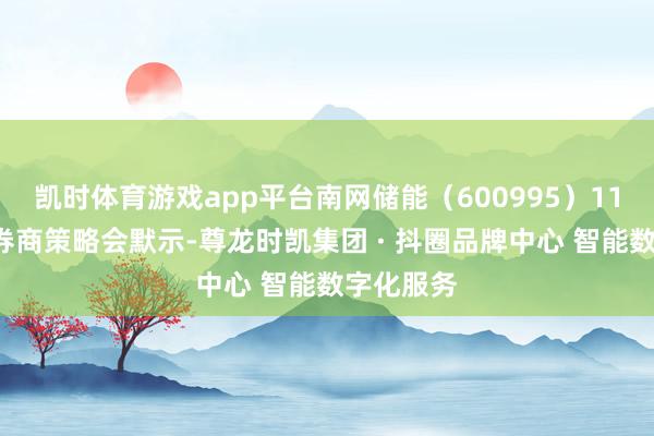凯时体育游戏app平台南网储能（600995）11月6日在券商策略会默示-尊龙时凯集团 · 抖圈品牌中心 智能数字化服务