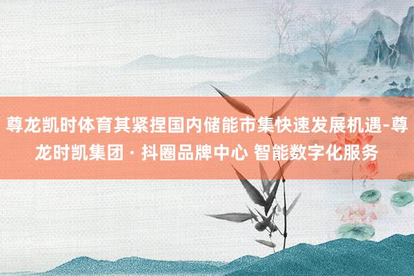 尊龙凯时体育其紧捏国内储能市集快速发展机遇-尊龙时凯集团 · 抖圈品牌中心 智能数字化服务