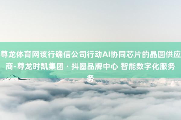 尊龙体育网该行确信公司行动AI协同芯片的晶圆供应商-尊龙时凯集团 · 抖圈品牌中心 智能数字化服务