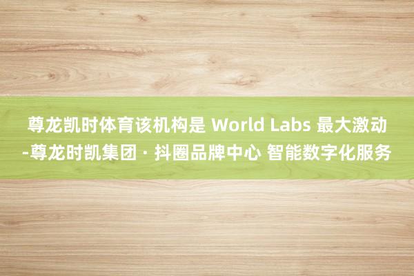 尊龙凯时体育该机构是 World Labs 最大激动-尊龙时凯集团 · 抖圈品牌中心 智能数字化服务