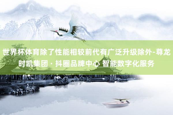 世界杯体育除了性能相较前代有广泛升级除外-尊龙时凯集团 · 抖圈品牌中心 智能数字化服务