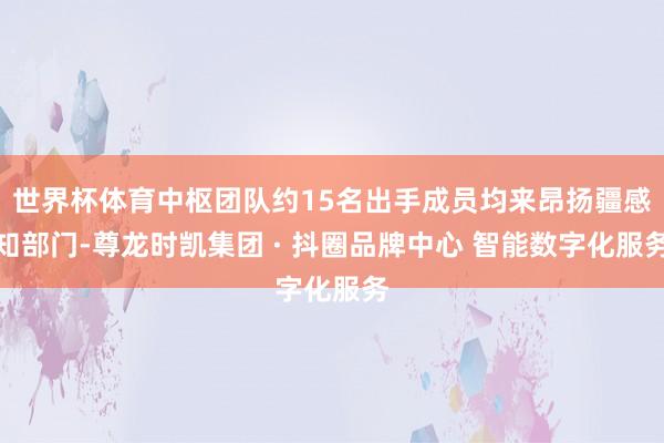 世界杯体育中枢团队约15名出手成员均来昂扬疆感知部门-尊龙时凯集团 · 抖圈品牌中心 智能数字化服务
