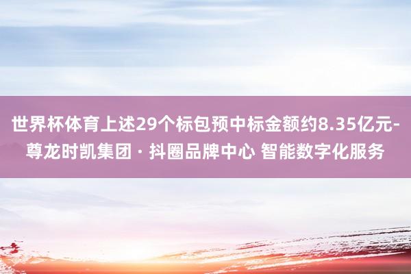 世界杯体育上述29个标包预中标金额约8.35亿元-尊龙时凯集团 · 抖圈品牌中心 智能数字化服务