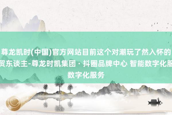 尊龙凯时(中国)官方网站目前这个对潮玩了然入怀的外贸东谈主-尊龙时凯集团 · 抖圈品牌中心 智能数字化服务